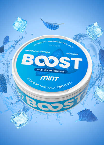 Boost Nootropic Pouches — Mint