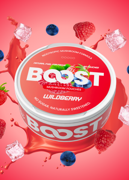 Boost Nootropic Pouches — Wildberry