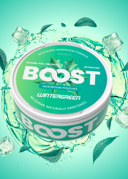 Boost Nootropic Pouches — Wintergreen