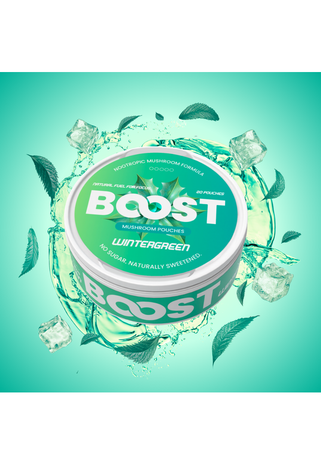 Boost Nootropic Pouches — Wintergreen